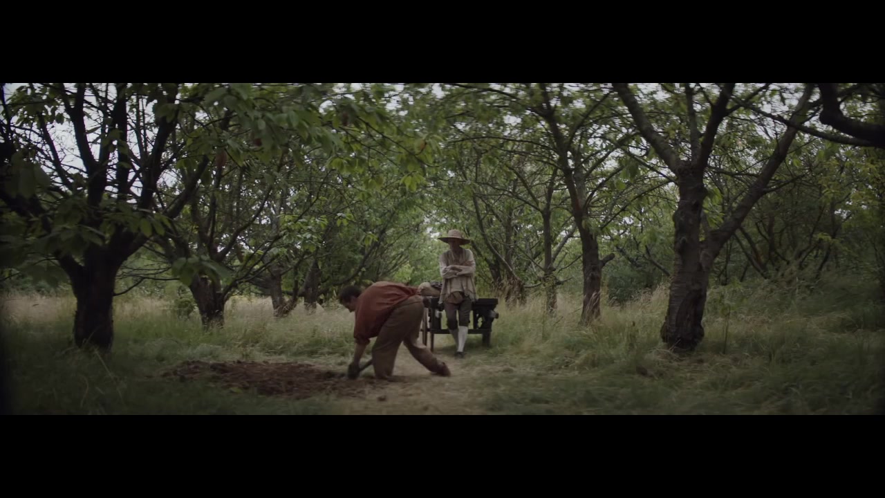 Begin Again